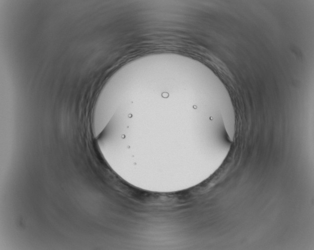 X0000112880329200910021358