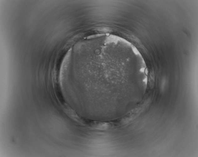 X0000112880330200910021358