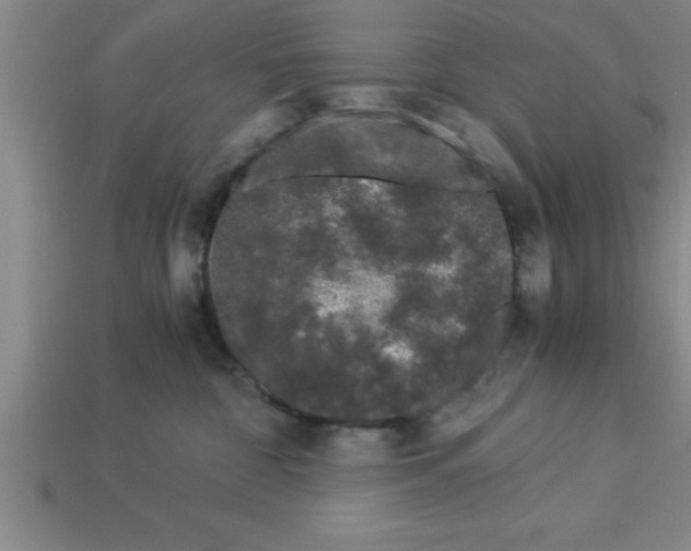 X0000112880332200910021358