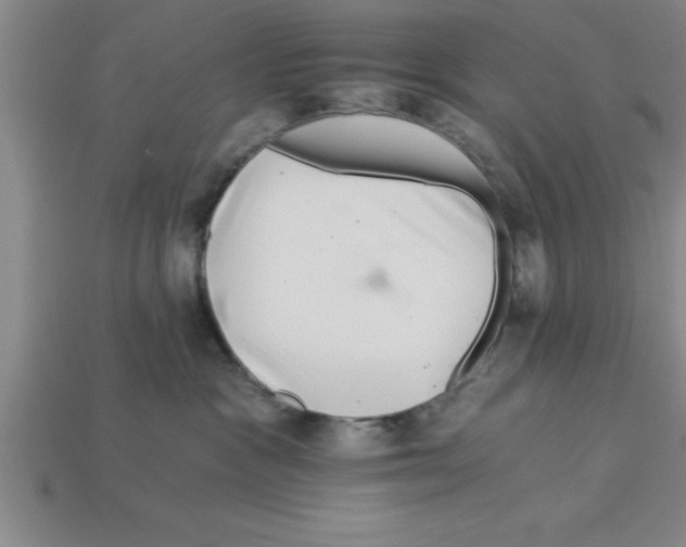 X0000112880333200910021358