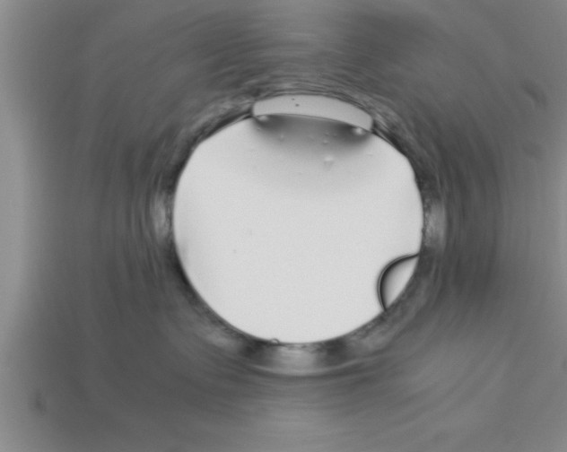 X0000112880335200910021358