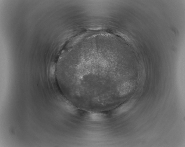 X0000112880336200910021358