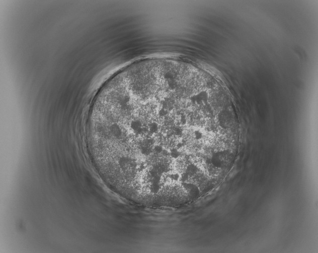 X0000112880337200910021357