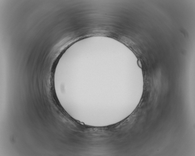 X0000112880338200910021357