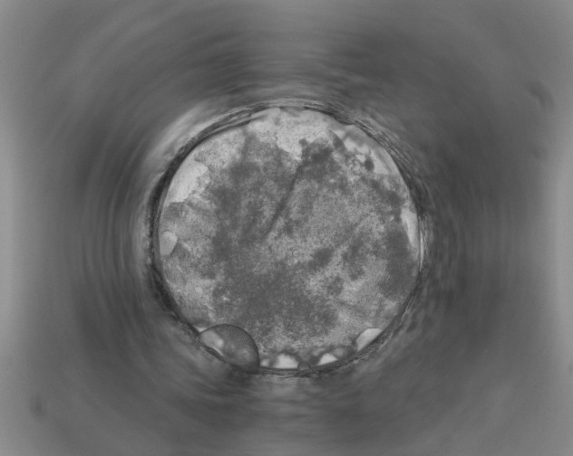 X0000112880339200910021357