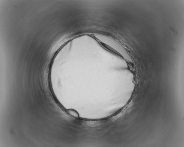 X0000112880341200910021357