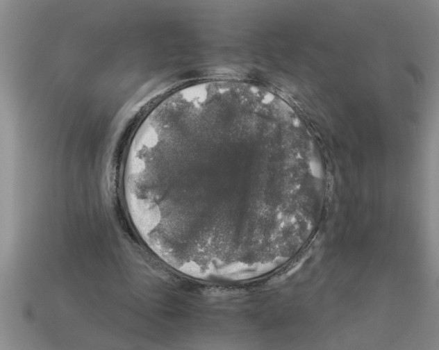 X0000112880343200910021357