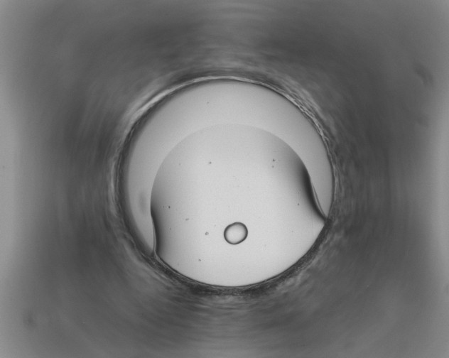 X0000112880344200910021357