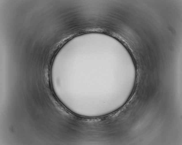 X0000112880345200910021357