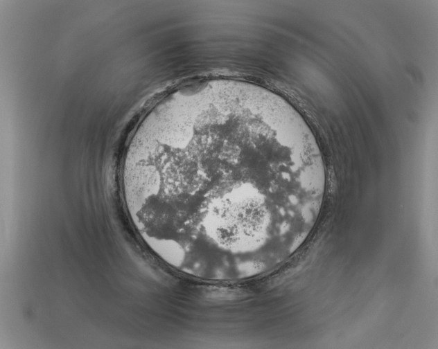 X0000112880347200910021357