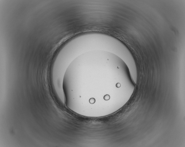 X0000112880348200910021357