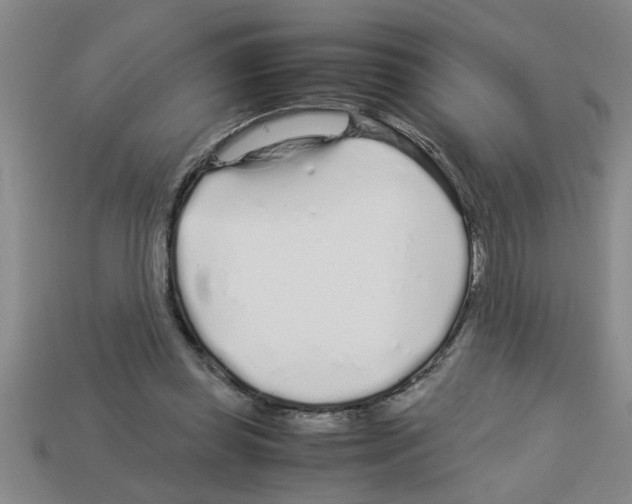 X0000112880349200910021357