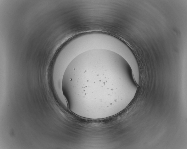 X0000112880350200910021357