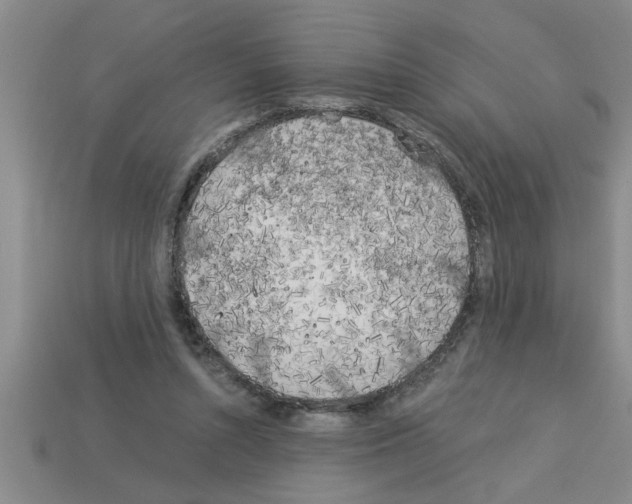 X0000112880352200910021357