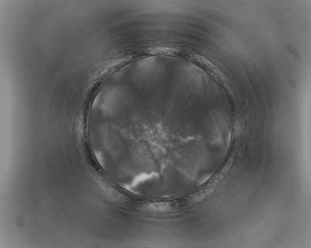 X0000112880353200910021357