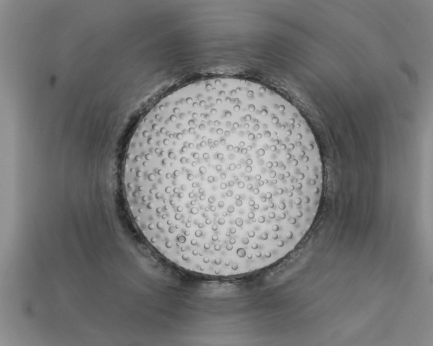 X0000112880354200910021357