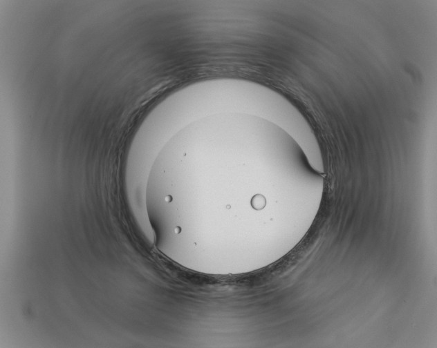 X0000112880356200910021357