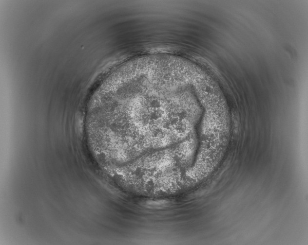 X0000112880357200910021358