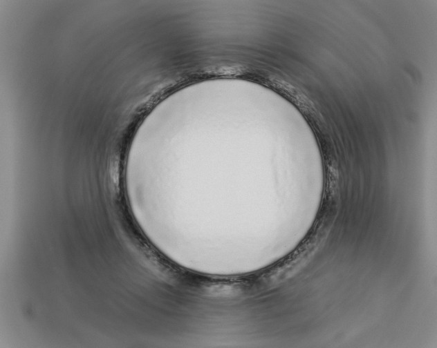 X0000112880358200910021358