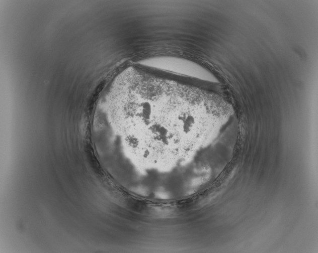 X0000112880359200910021358