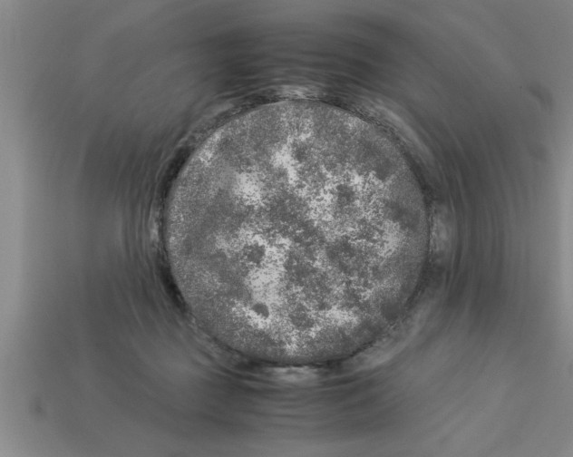 X0000112880363200910021358