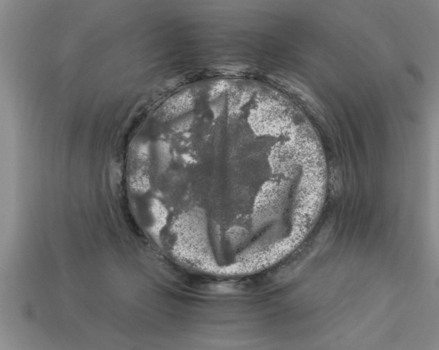 X0000112880365200910021358