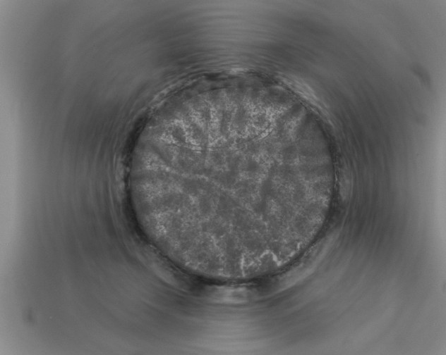 X0000112880366200910021358