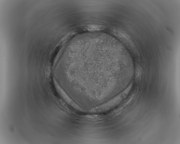 X0000112880367200910021358