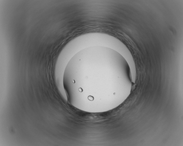 X0000112880372200910021358