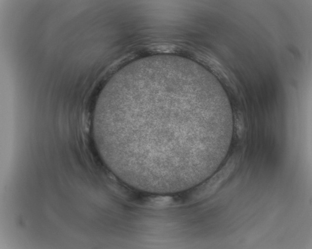 X0000112880374200910021358