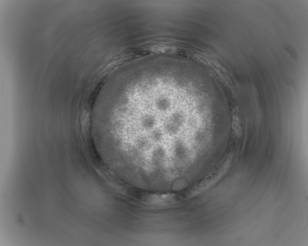 X0000112880375200910021358