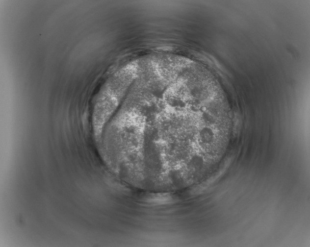 X0000112880377200910021358