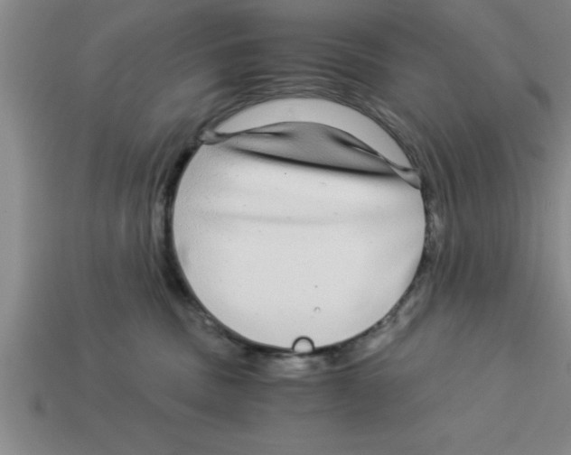 X0000112880379200910021358