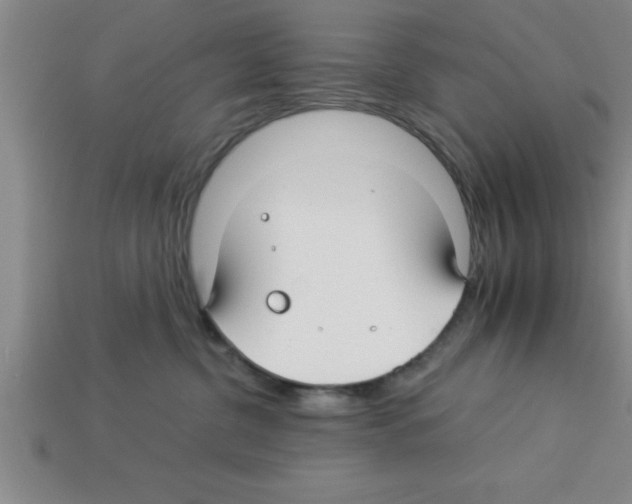 X0000112880380200910021358