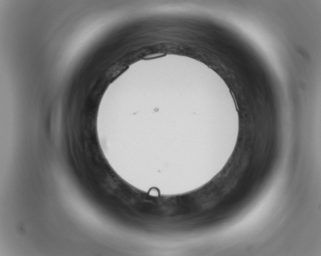 X0000112880382200910021358