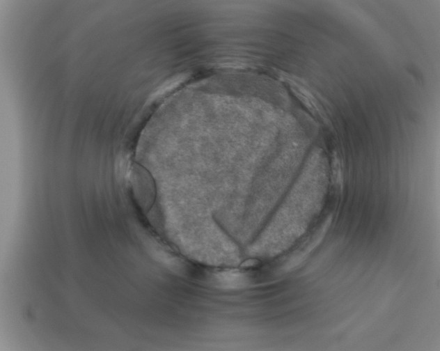 X0000112880383200910021358