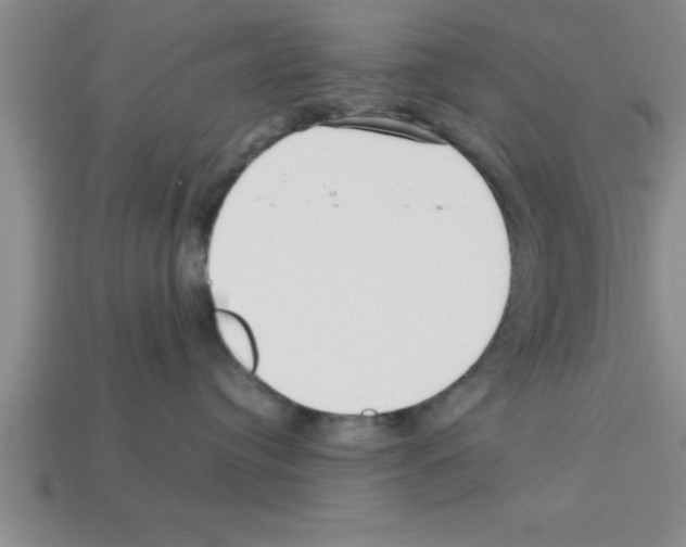 X0000112880384200910021358