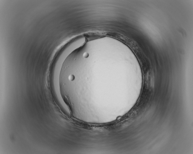 X0000112880388200910021357