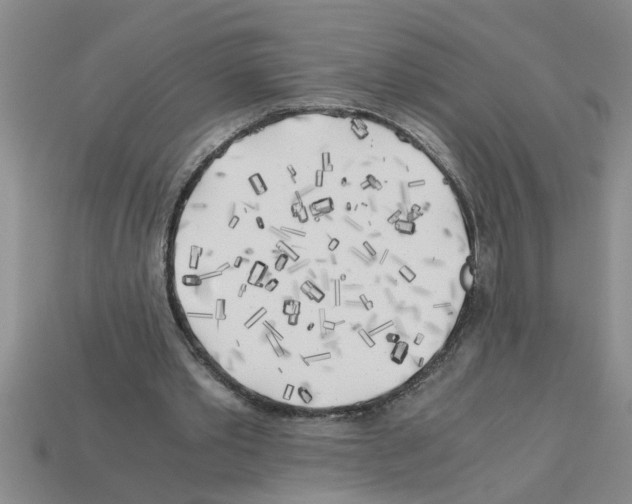 X0000112880389200910021357