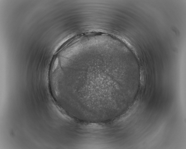 X0000112880390200910021357