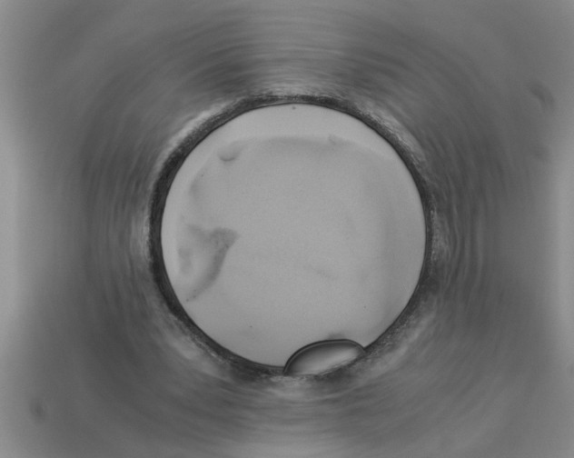 X0000112880391200910021357