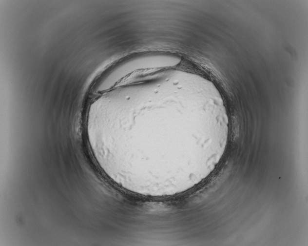 X0000112880392200910021357