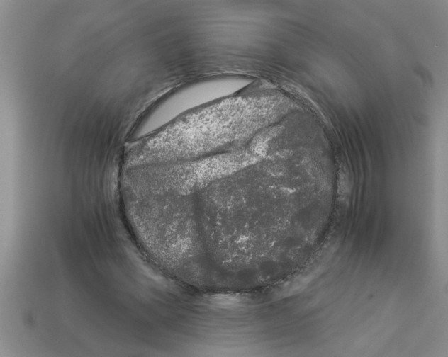 X0000112880394200910021357