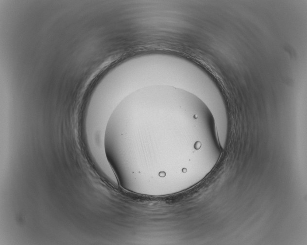 X0000112880395200910021357