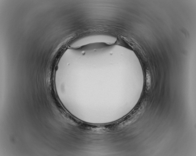 X0000112880396200910021357