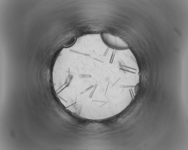 X0000112880397200910021357