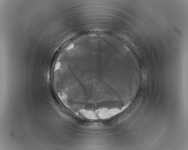 X0000112880398200910021357