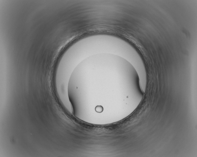 X0000112880399200910021357