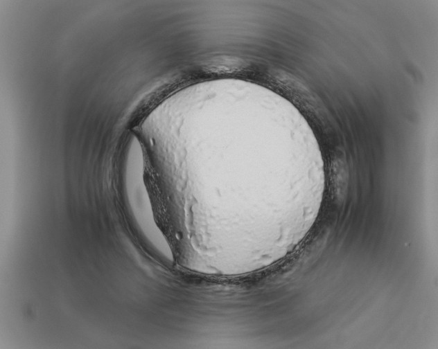 X0000112880400200910021357