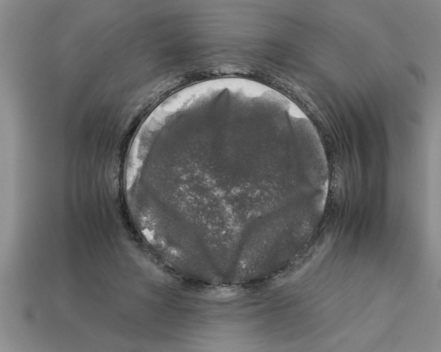 X0000112880402200910021357